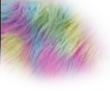 stuff